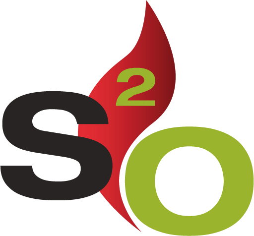 Logo s2o